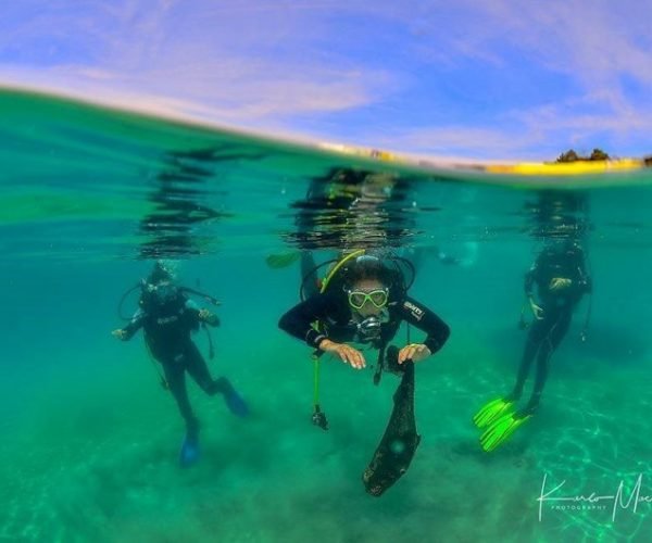 34455666_1956974884336623_5467961944445026304_o